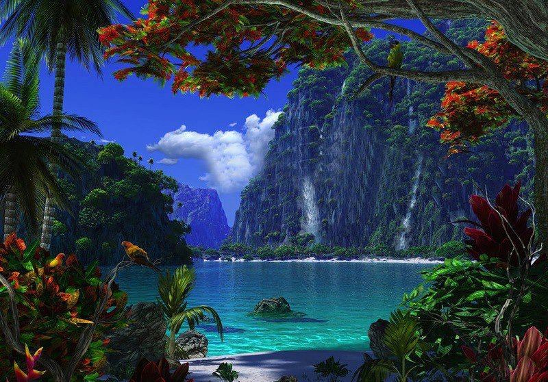 Island Paradise Magic